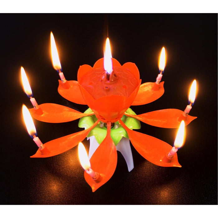 Fontäne Happy Birthday 5 Min.