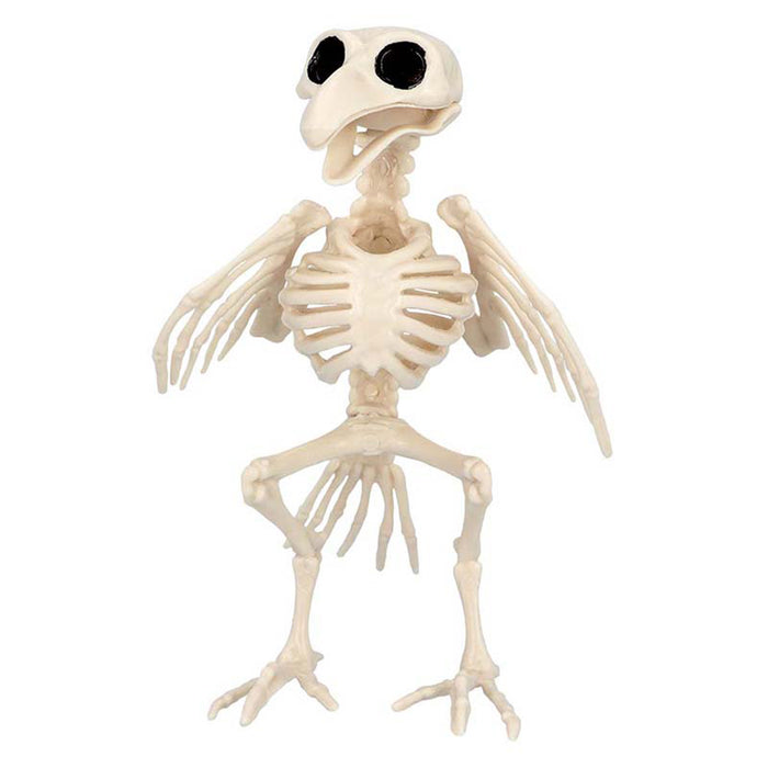 Skelett Tier Vogel 20 x 11 cm