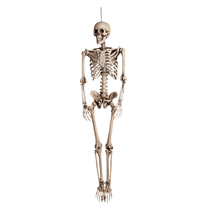 Skelett 160 cm Lebensgroß | Halloween Dekoration