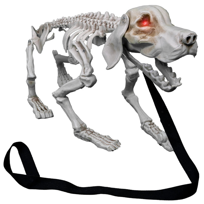 "Bällender Hund Skelett" Animiert - 32 cm | Weiß