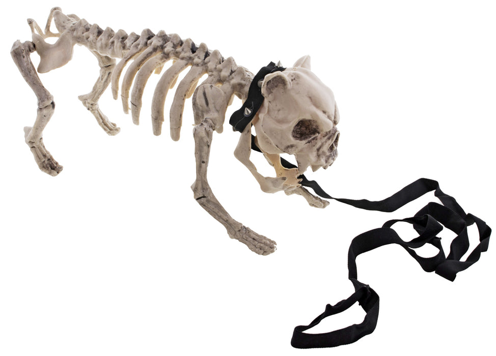 Gruseliger Skelett Hund mit Leine 40 x 20 cm | Halloween Dekoration