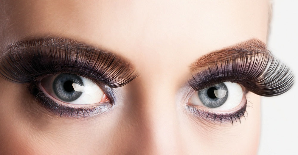 Künstliche XL Wimpern - Schwarz