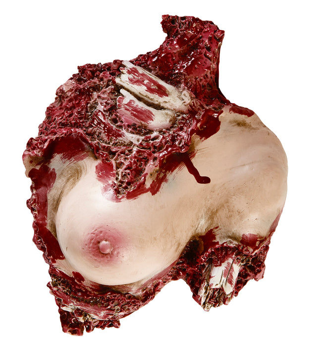 Körperteil Frauenoberkörper