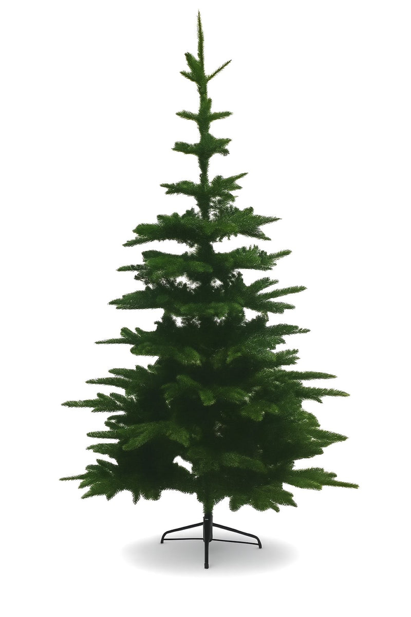 Riffelmacher Künstlicher Weihnachtsbaum Edeltanne | 553 Tips | 180 cm Höhe | Metallständer inklusive | dichter, realistischer Tannenbaum | 18945