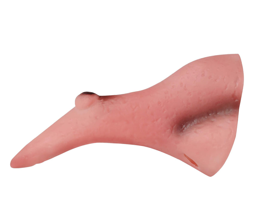 Nase Hexennase