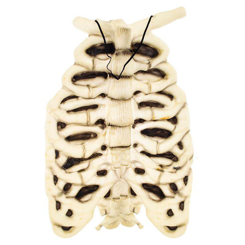 Körperteil Brustkorb | Beige - Halloween Dekoration