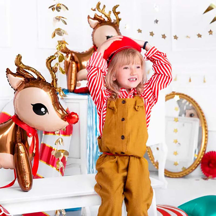 ABC4D Rentier 50x62cm