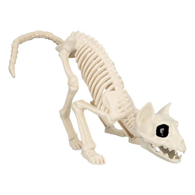 Skelett Tier Katze 51 x 14 cm Halloween Dekoration