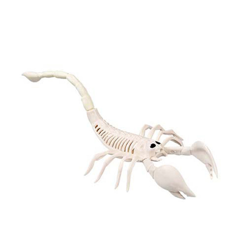 Skelett Tiere 5-fach sortiert | Beige - Halloween