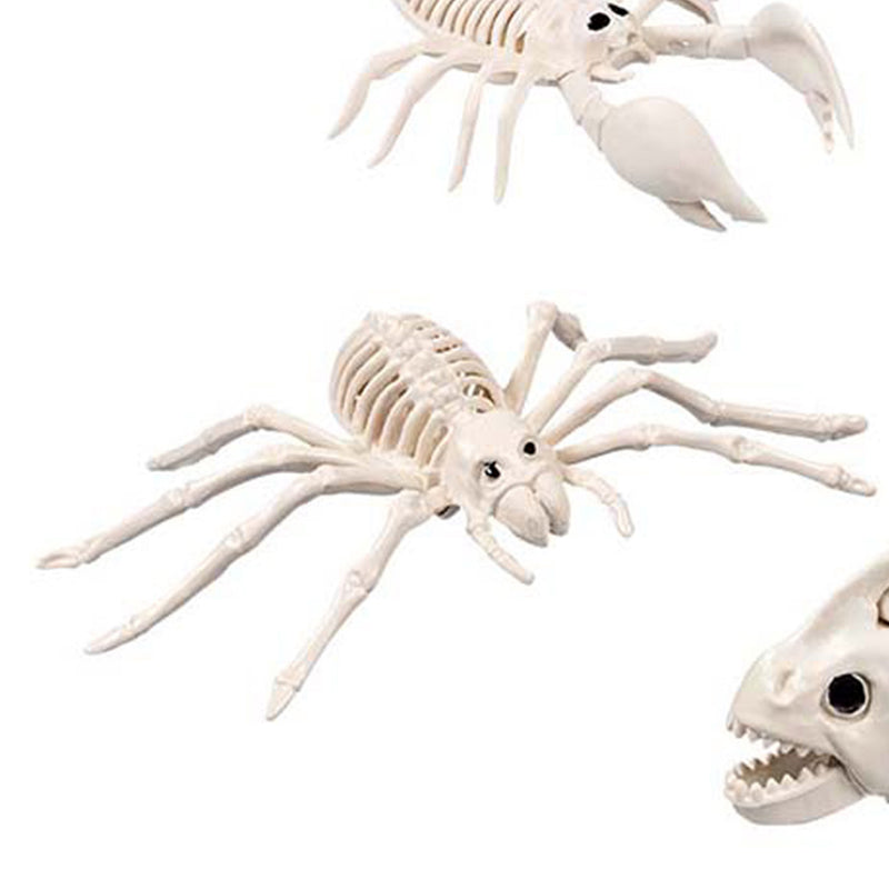 Skelett Tiere 5-fach sortiert | Beige - Halloween