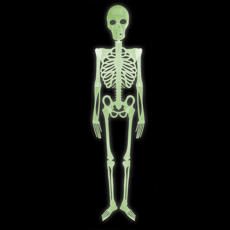 Skelett 150 cm | Halloween-Deko