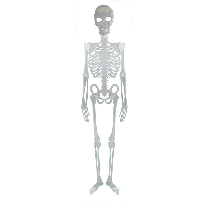 Skelett 150 cm | Halloween-Deko