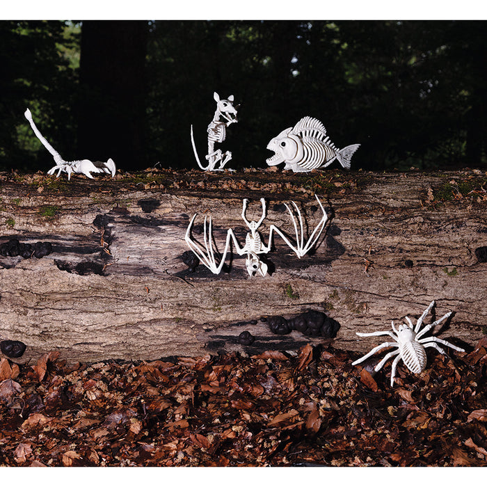Tier Skelett Skorpion 33 x 14 x 8 cm | Halloween Dekoration