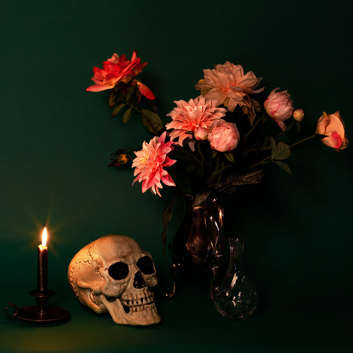 Totenkopf Schädel "Maxilla" beweglich - 17 x 17 x 24 cm | Halloween Dekoration