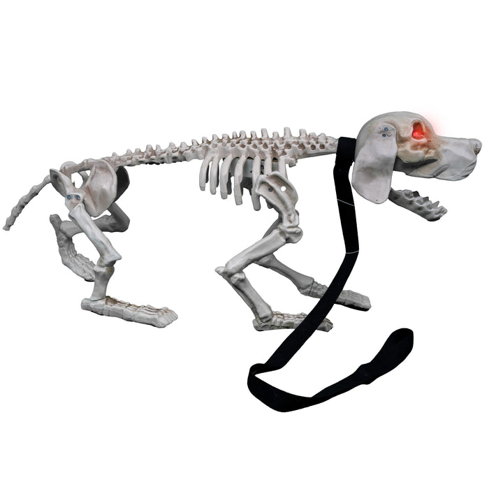"Bällender Hund Skelett" Animiert - 32 cm | Weiß