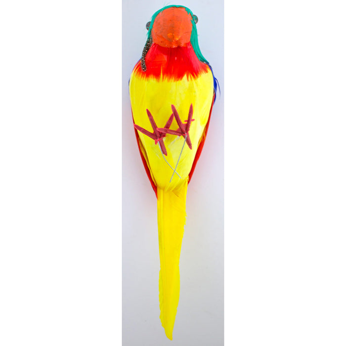 Schulter Papagei Bunt 26 cm | Mehrfarbig