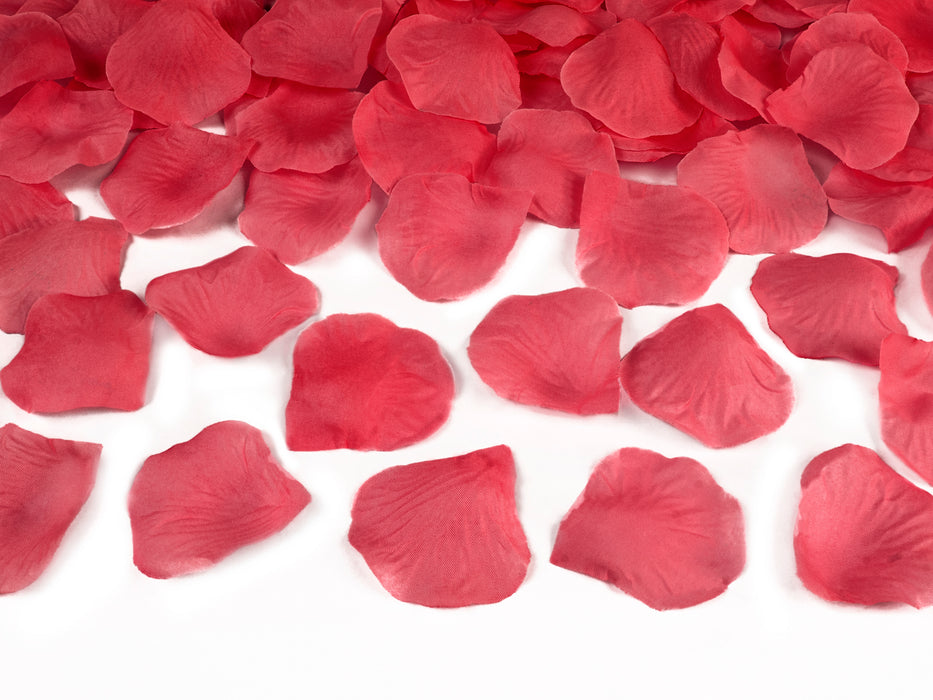 Konfettishooter Rosenblätter Rot 80cm