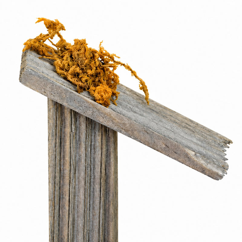 Mini Holz Lagerfeuer mit Vordach und LED - 8,5 cm | 78379 - Krippen Zubehör
