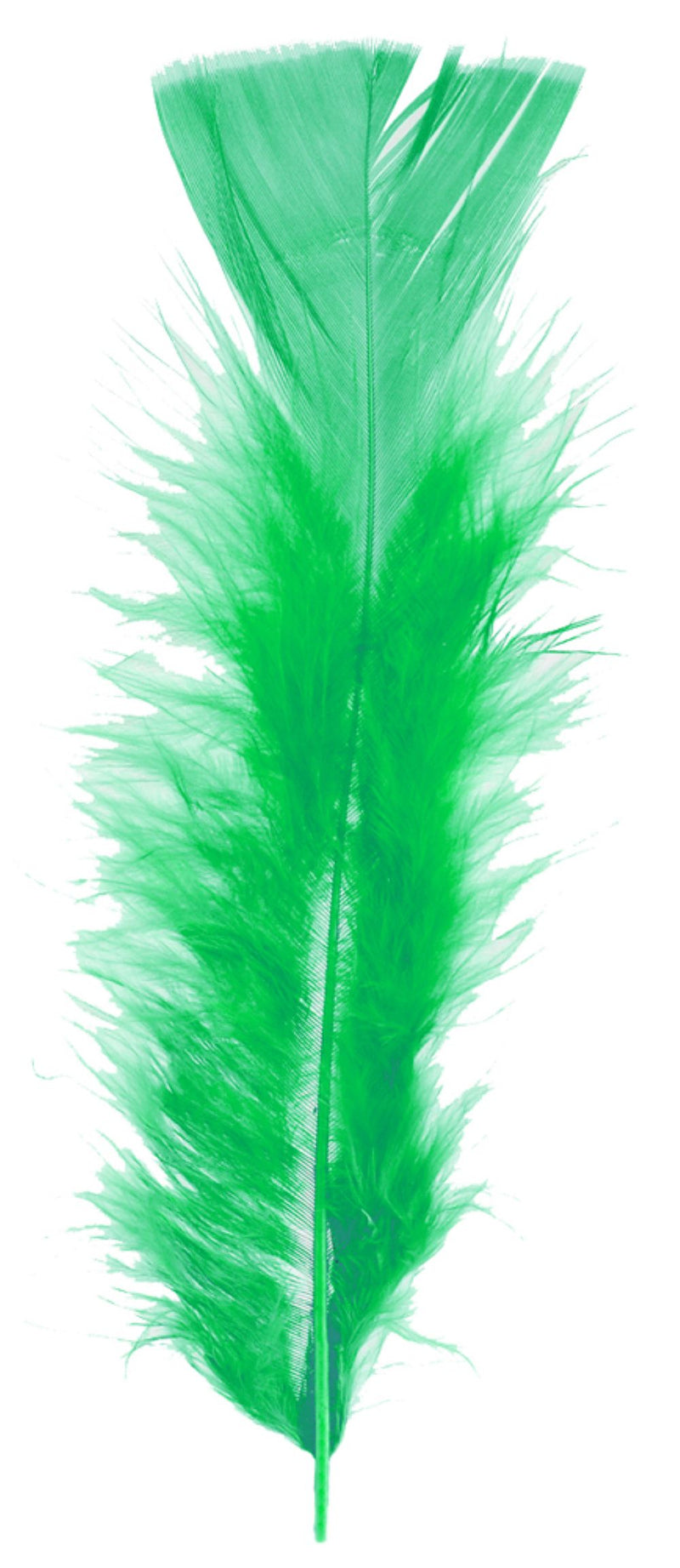 Bastel Federn für Kostüme und Deko - 100 Stück - Grün