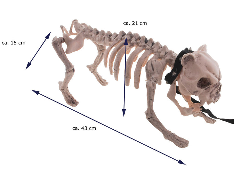 Gruseliger Skelett Hund mit Leine 40 x 20 cm | Halloween Dekoration