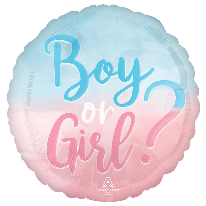 "The Big Reveal" - Gender Baby Party Dekoration Partygeschirr