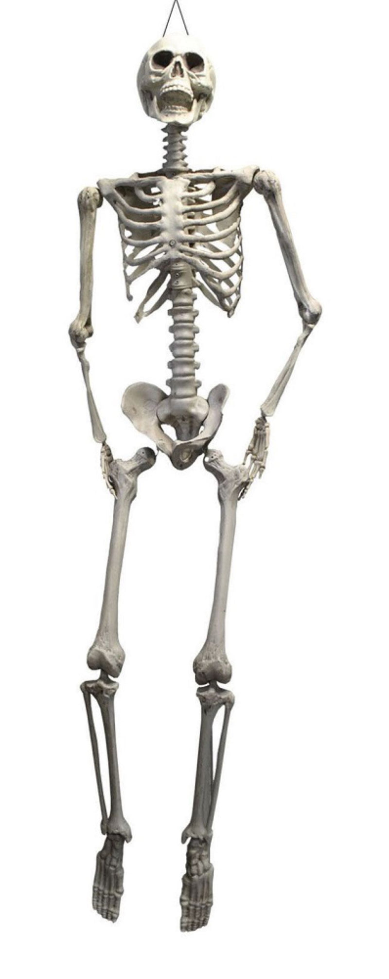 XXL Skelett "Otto" Halloween Hängefigur - 175 cm | Lebensechte Dekoration