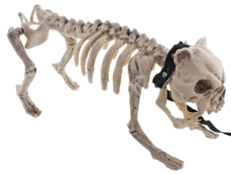 Gruseliger Skelett Hund mit Leine 40 x 20 cm | Halloween Dekoration