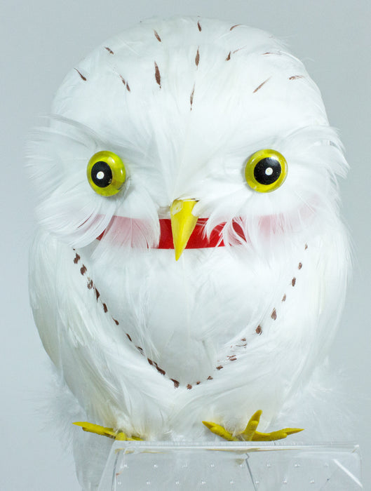 Schnee Eule Hedwig zum Zauberer Kostüm - Weiß