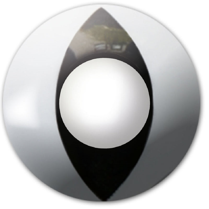 Eyecatcher Motivlinsen - farbige 3-Monats-Kontaktlinsen | m10 - Black Cat