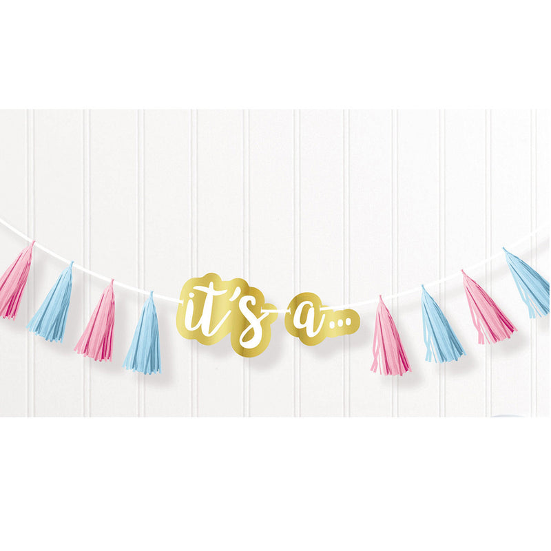 "The Big Reveal" - Quasten Girlande 240 cm Rosa Blau Dekoration für Gender Reveal