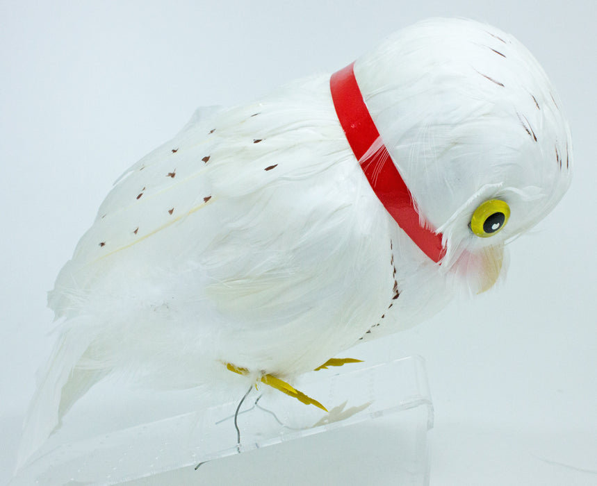 Schnee Eule Hedwig zum Zauberer Kostüm - Weiß