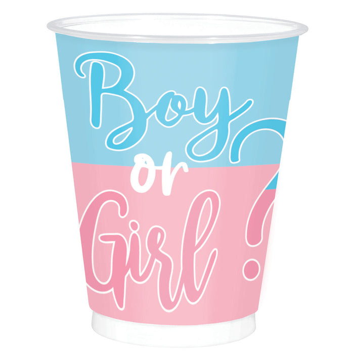 "The Big Reveal" - Gender Baby Party Dekoration Partygeschirr