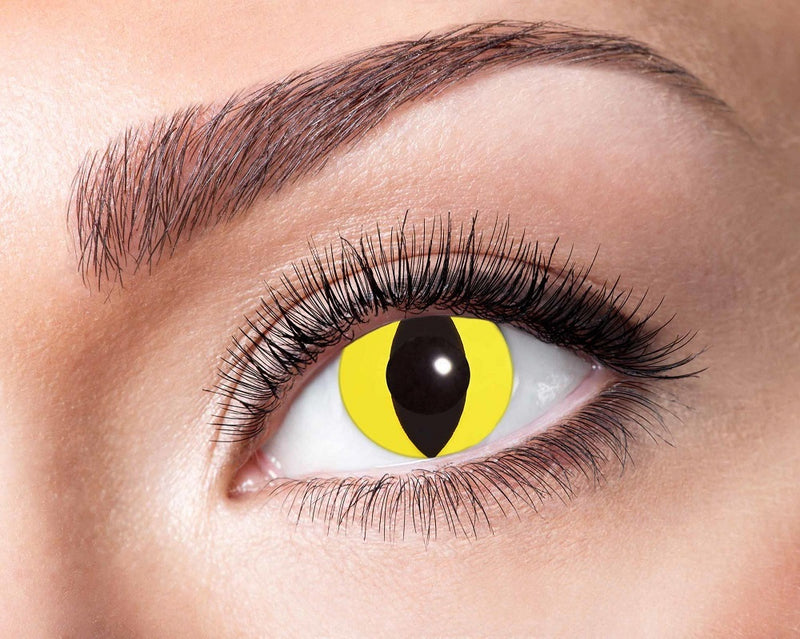 Eyecatcher Motivlinsen - farbige 3-Monats-Kontaktlinsen | m04 - Yellow Cat
