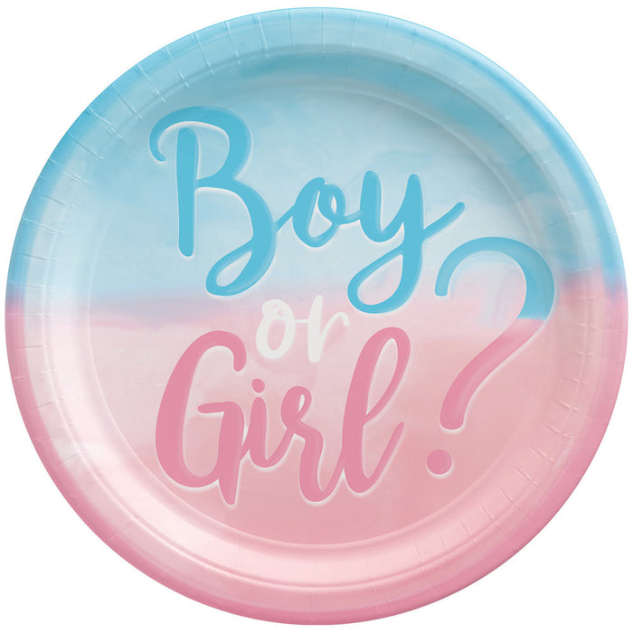 "The Big Reveal" - Gender Baby Party Dekoration Partygeschirr