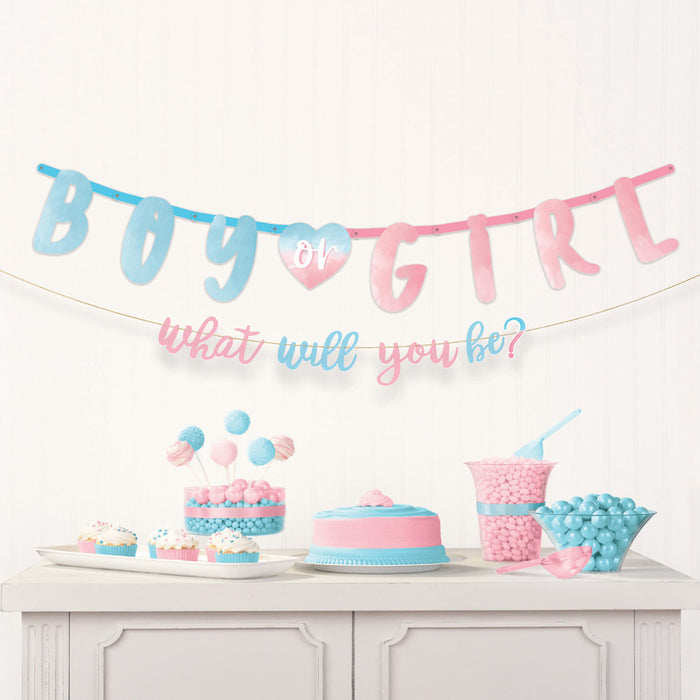 "The Big Reveal" - Gender Baby Party Dekoration Partygeschirr