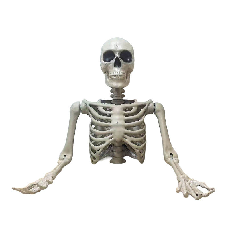 Halloween Figur "Skelett Torso Tom" Beweglich | 104 cm