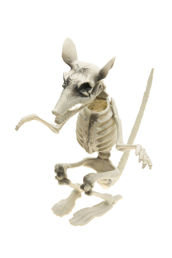 Gruselige Skelett Ratte - 29 cm - Halloween Deko